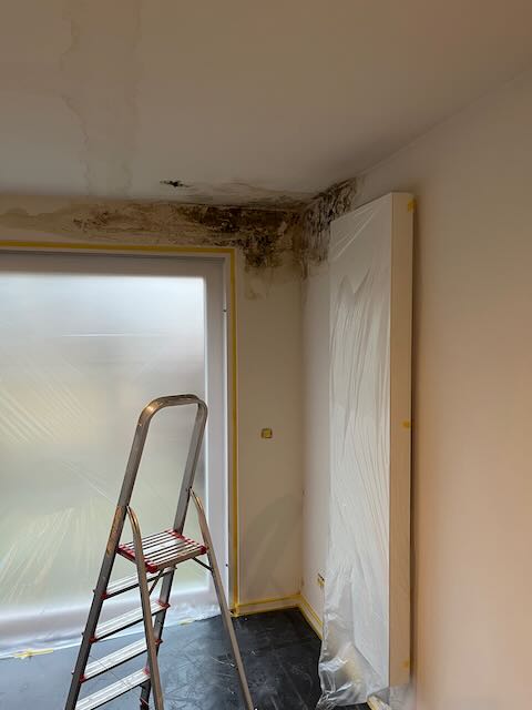 Foto van BN Renovatie in Antwerpen, Schilder (foto 2)