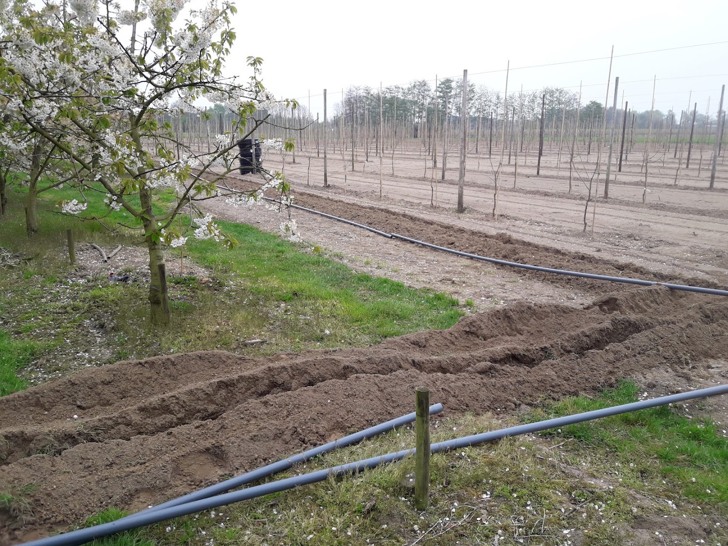 Foto van Nilitech BV in Nijlen, Elektrotechnisch installatiebedrijf (foto 3)