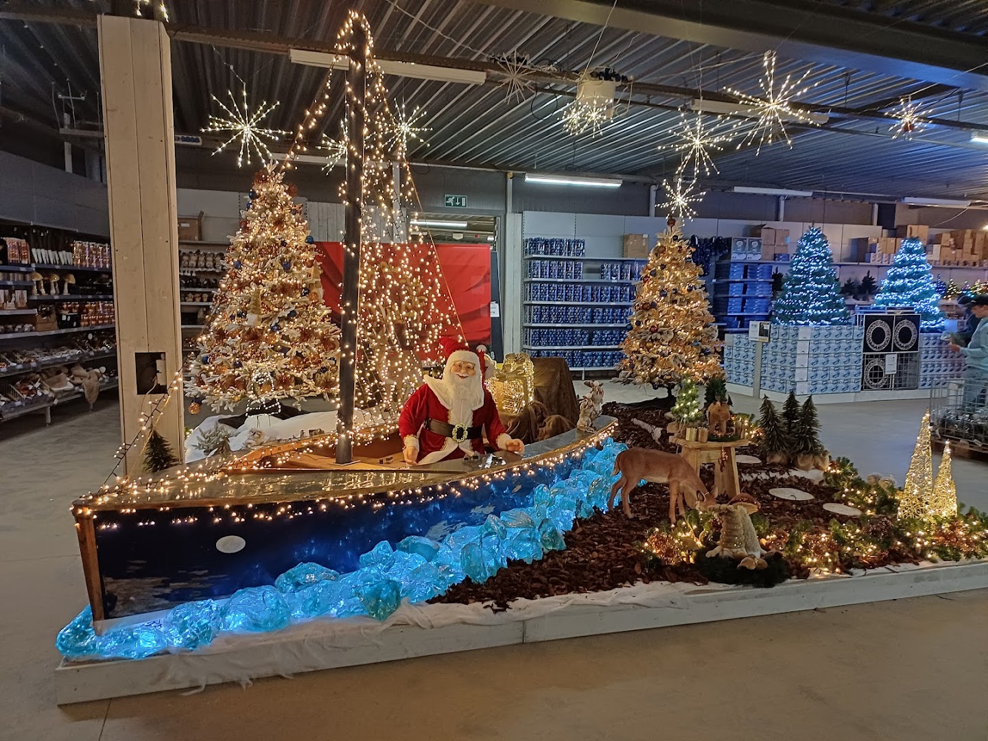 Foto van Tuincentrum Pelckmans - Lommel in Lommel, Tuincentrum (foto 3)