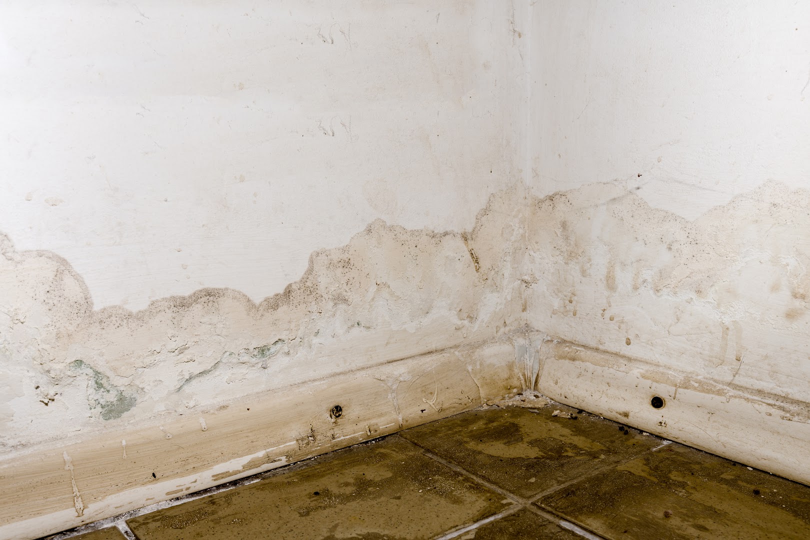 Foto van Xvocht — Vochtweringsbedrijf Foto van Xvocht — Vochtweringsbedrijf