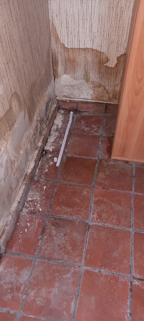 Foto van VOCHTVRIJ in Merelbeke-Melle — Vochtweringsbedrijf (foto 2)