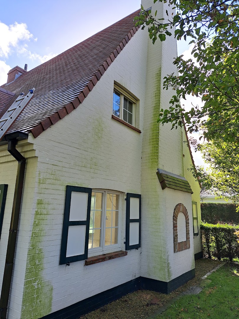 Foto van TGR-Ontmossing Uw specialist in dakontmossing, gevelreining en renovatie,vogelwering toepassingen. in Koekelare — Bouwbedrijf (foto 3)