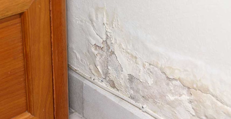Foto van Aquavent Vochtbestrijding Ieper - Kelderdichting - Vochtprobleem - Opstijgend Vocht - Kelderzwam in Langemark-Poelkapelle — Bouwbedrijf (foto 3)