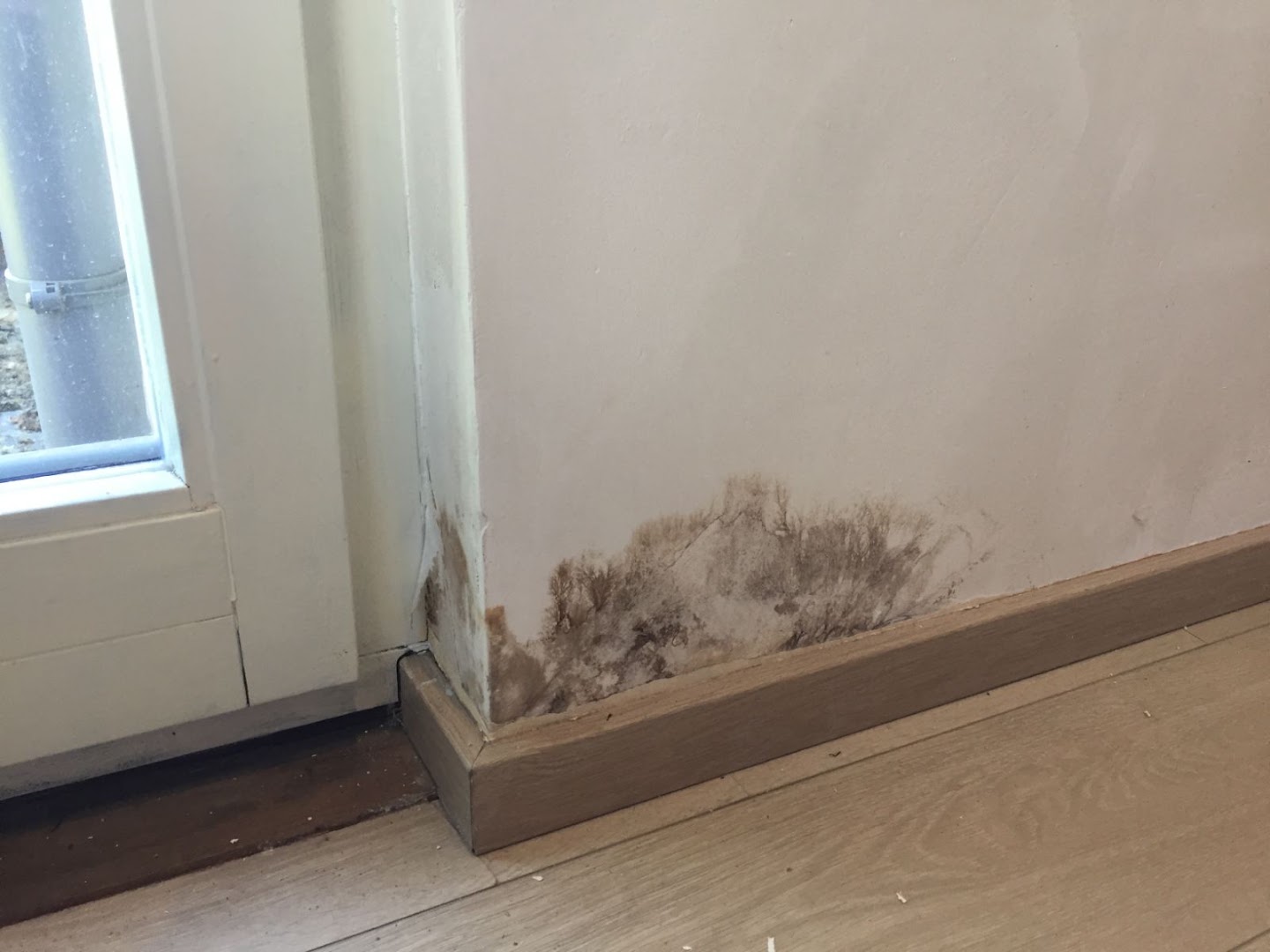 Foto van Aquavent Vochtbestrijding Kortrijk - Kelderdichting - Vochtprobleem - Opstijgend Vocht - Kelderzwam in Kortrijk — Bouwbedrijf (foto 3)