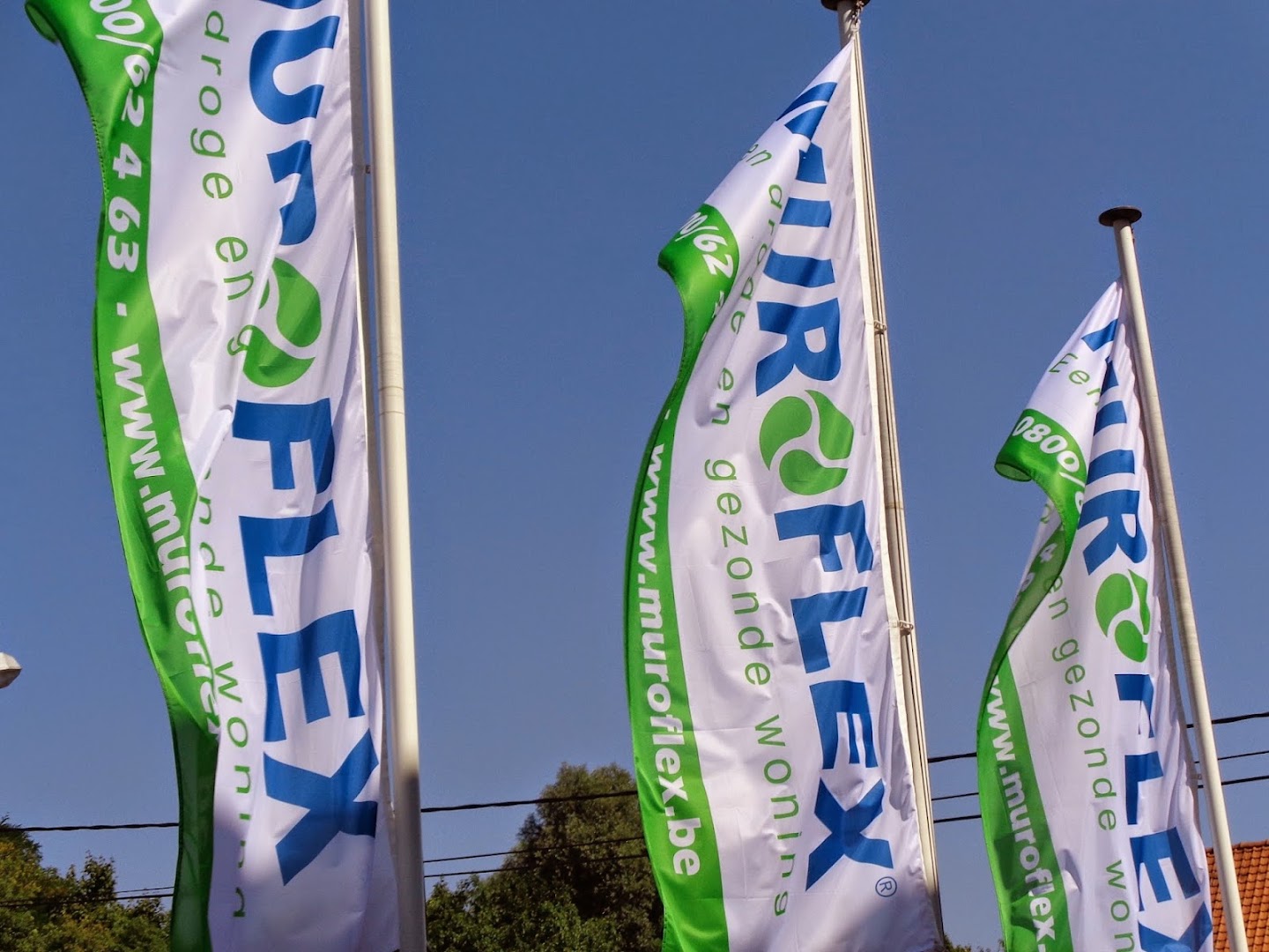 Foto van Muroflex in Merelbeke-Melle — Bouwbedrijf (foto 3)
