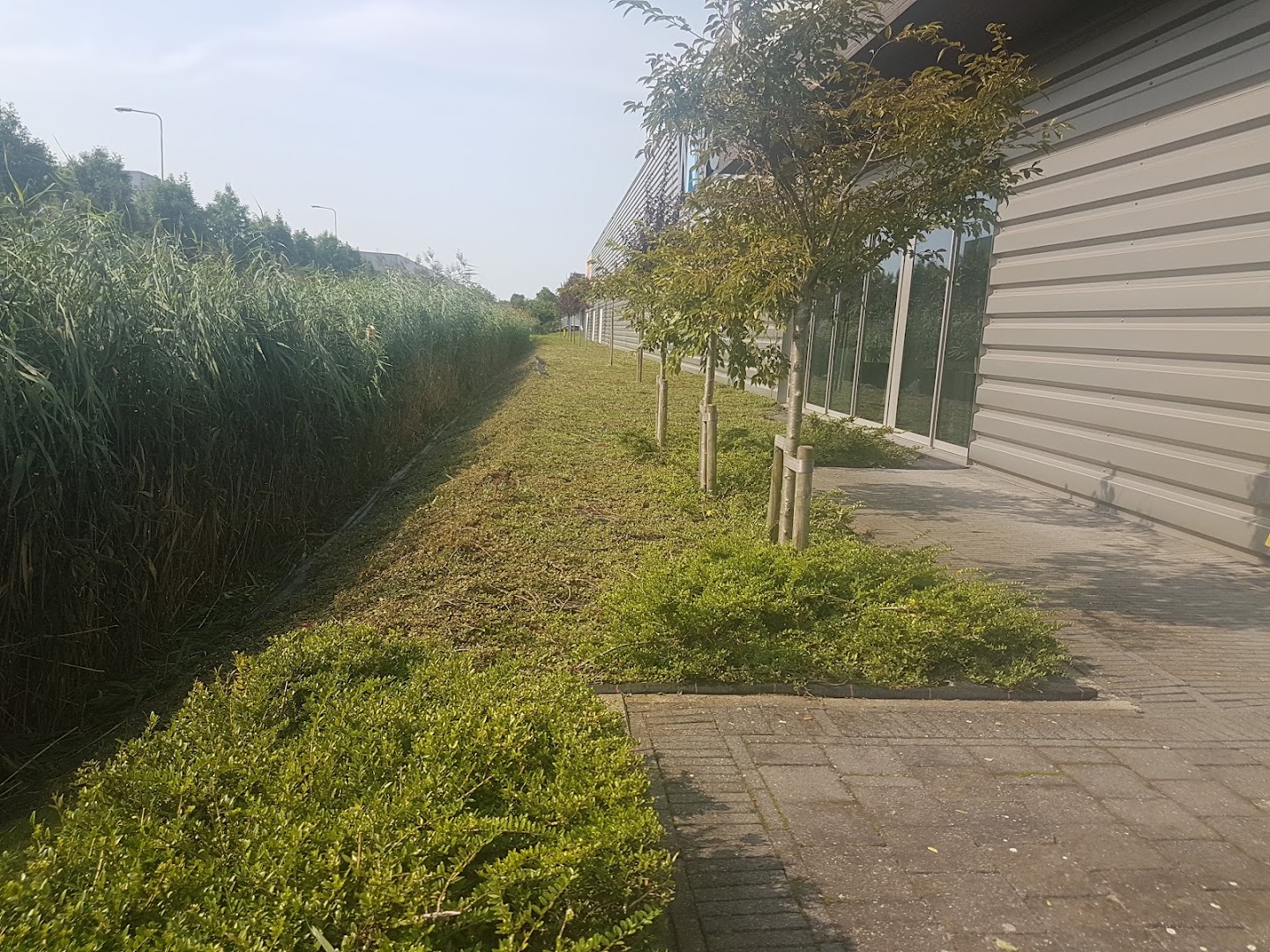 Foto van Wallcare Nederland BV in Maassluis — Aannemer (foto 2)