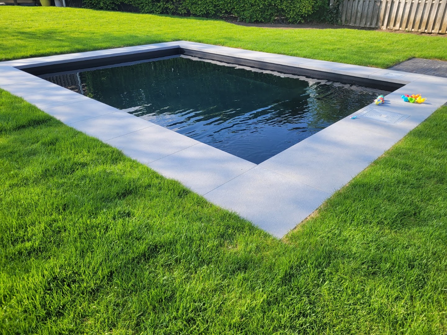 Foto van VF Zwembaden - Specialist in (Bio-) zwembaden & Waterneutrale Filtering - Erkend Zwembadbouwer in Beringen, Zwembadbouwer (foto 3)