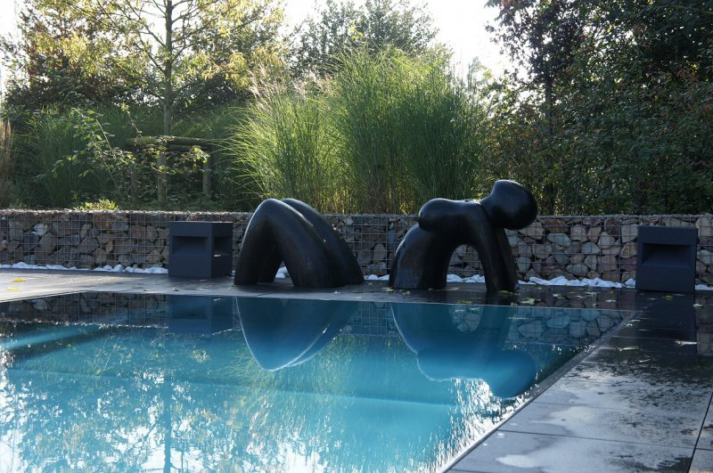 Foto van RVS swimming pools in Aalter, Zwembadbouwer (foto 3)