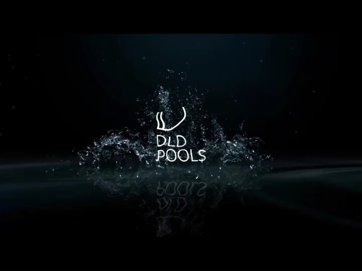 Foto van DLD Pools zwembaden in Linter, Aannemer voor zwembad (foto 2)