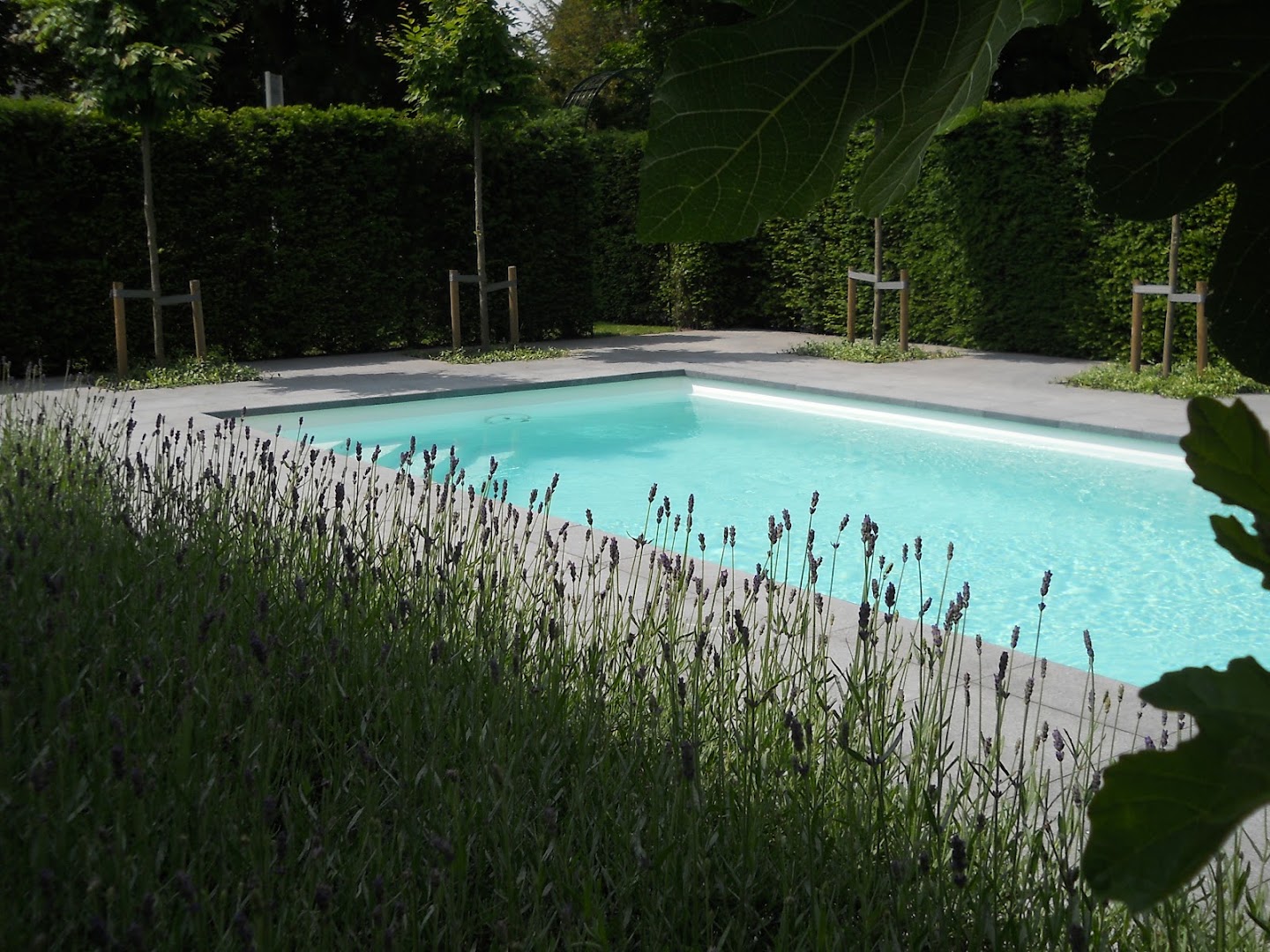 Foto van 't Badhuis in Schoten, Zwembad- en wellnessspecialist (foto 3)