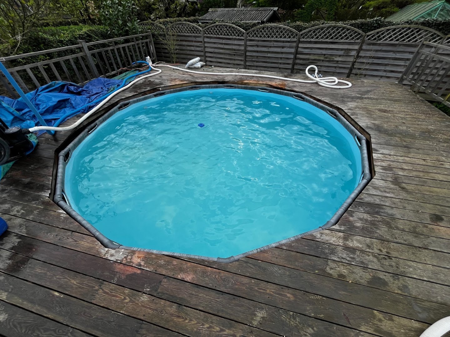 Foto van Bluesky Pools, Aannemer voor zwembad (foto 3)