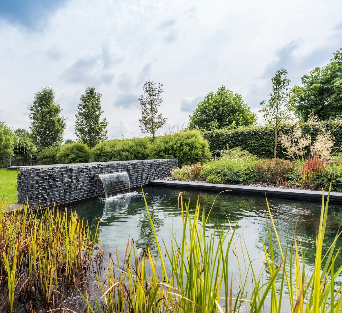 Foto van Wiltae - zwemvijvers en Biopools in Deinze, Zwemvijverbouwer (foto 2)