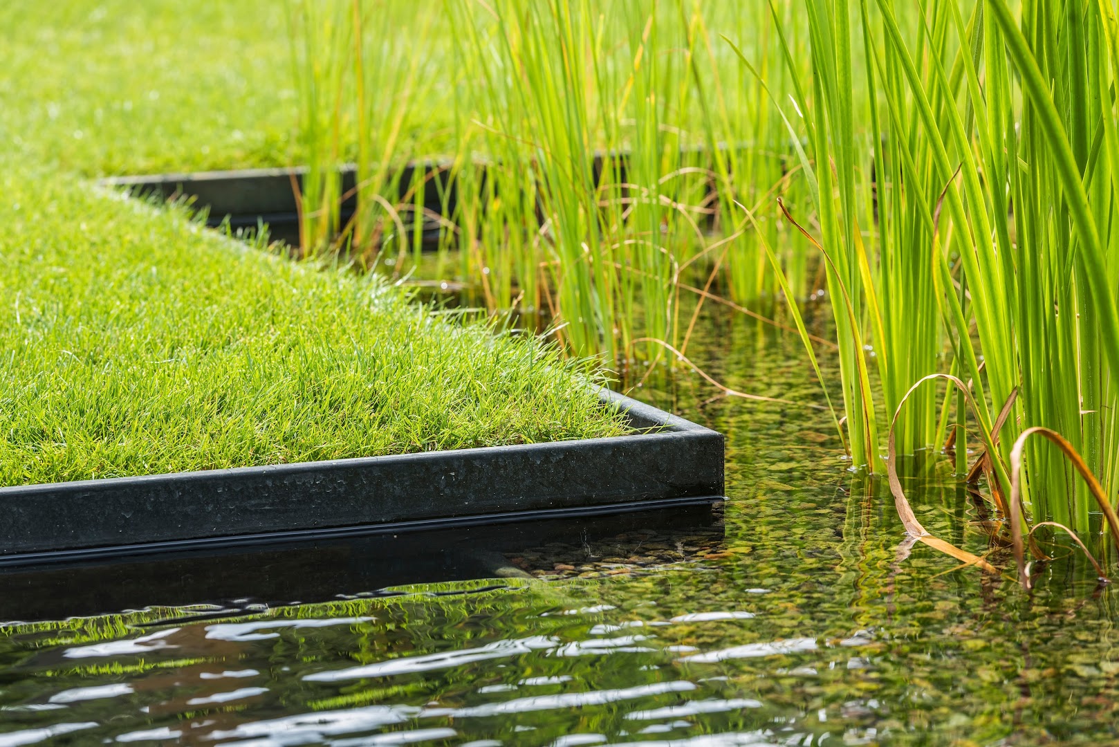 Foto van Wiltae - zwemvijvers en Biopools in Deinze, Zwemvijverbouwer (foto 3)