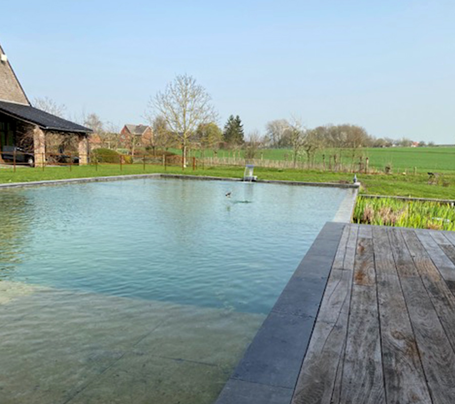 Foto van Aqua Concepts in Zottegem, Aannemer voor vijvers (foto 2)