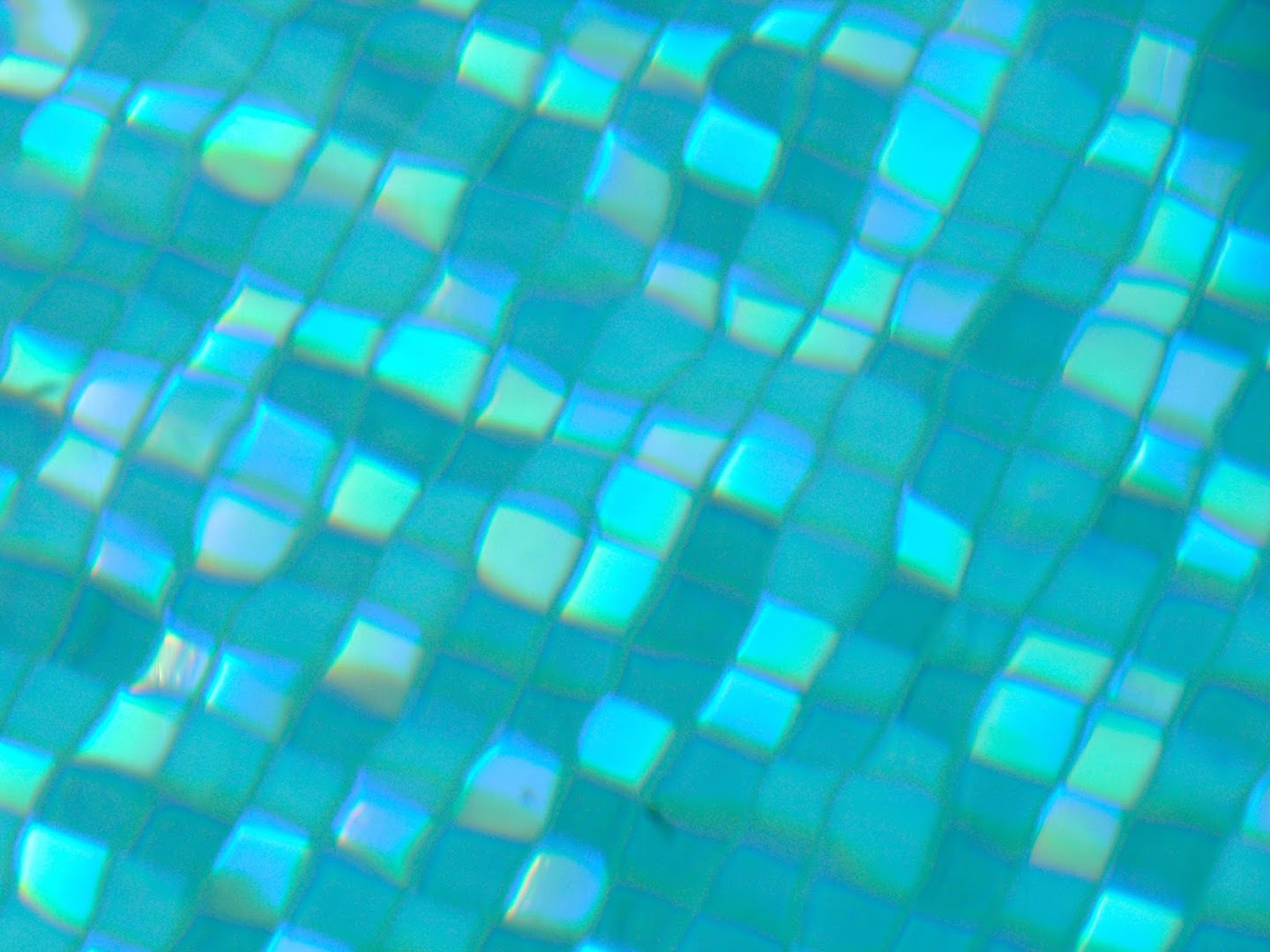 Foto van h2eau systems bv in Geel, Zwembadbouwer (foto 1)