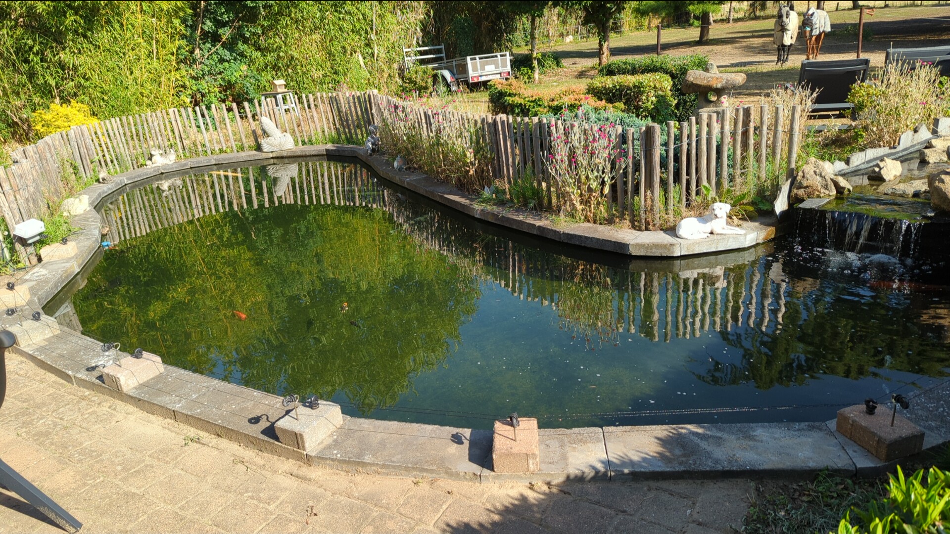 Foto van Bato Group in Geel, Waterdichting en zwembadtechniek (foto 3)