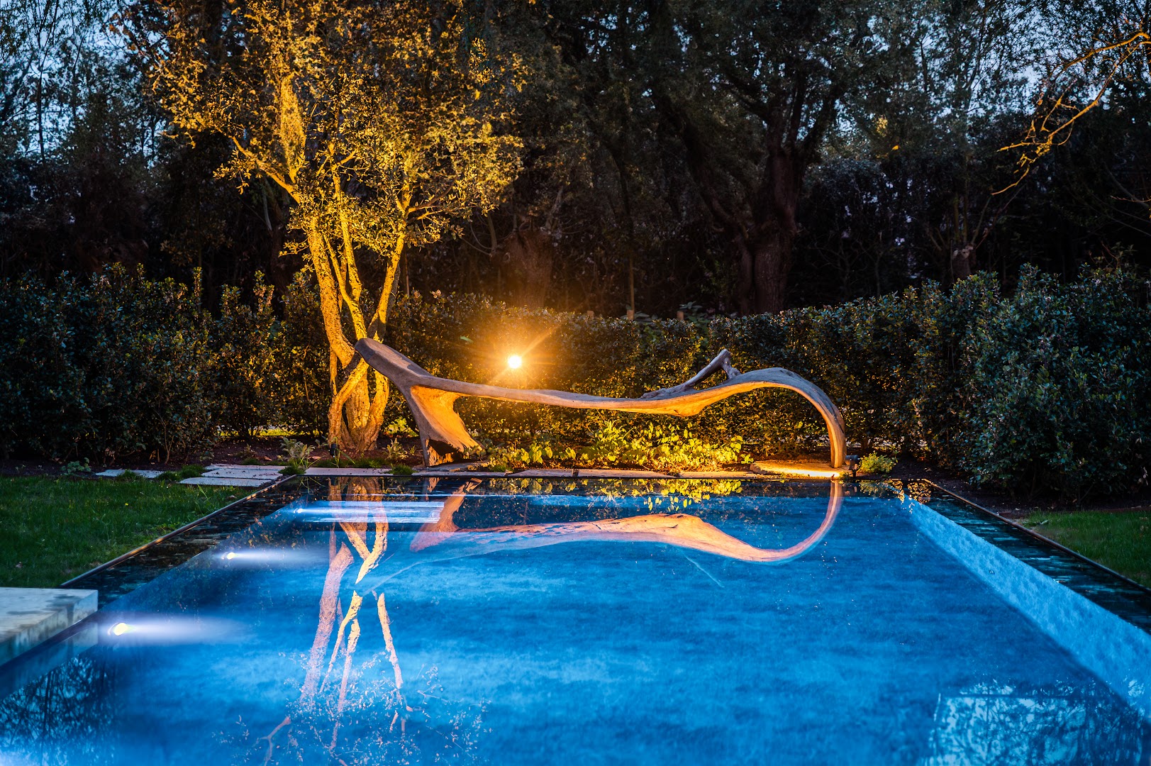 Foto van MD Pools in Deerlijk, Zwembadbouwer (foto 1)
