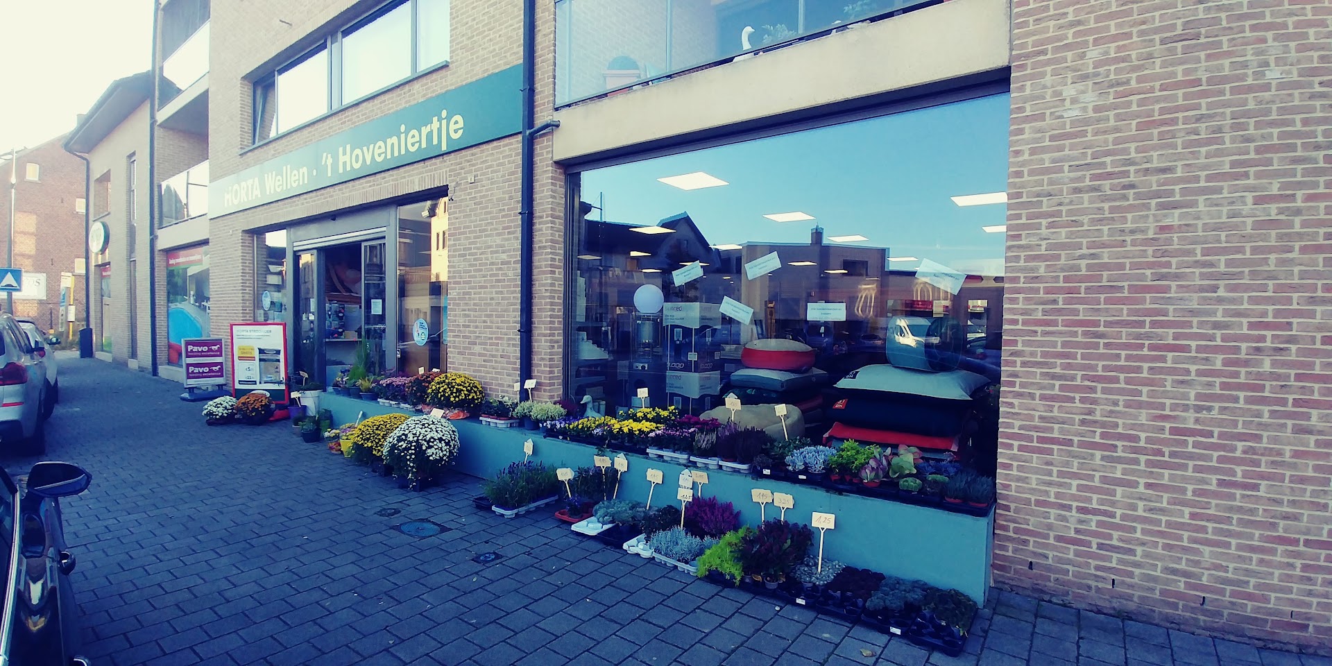 Foto van 't Hoveniertje in Wellen, Koi handelaar (foto 1)