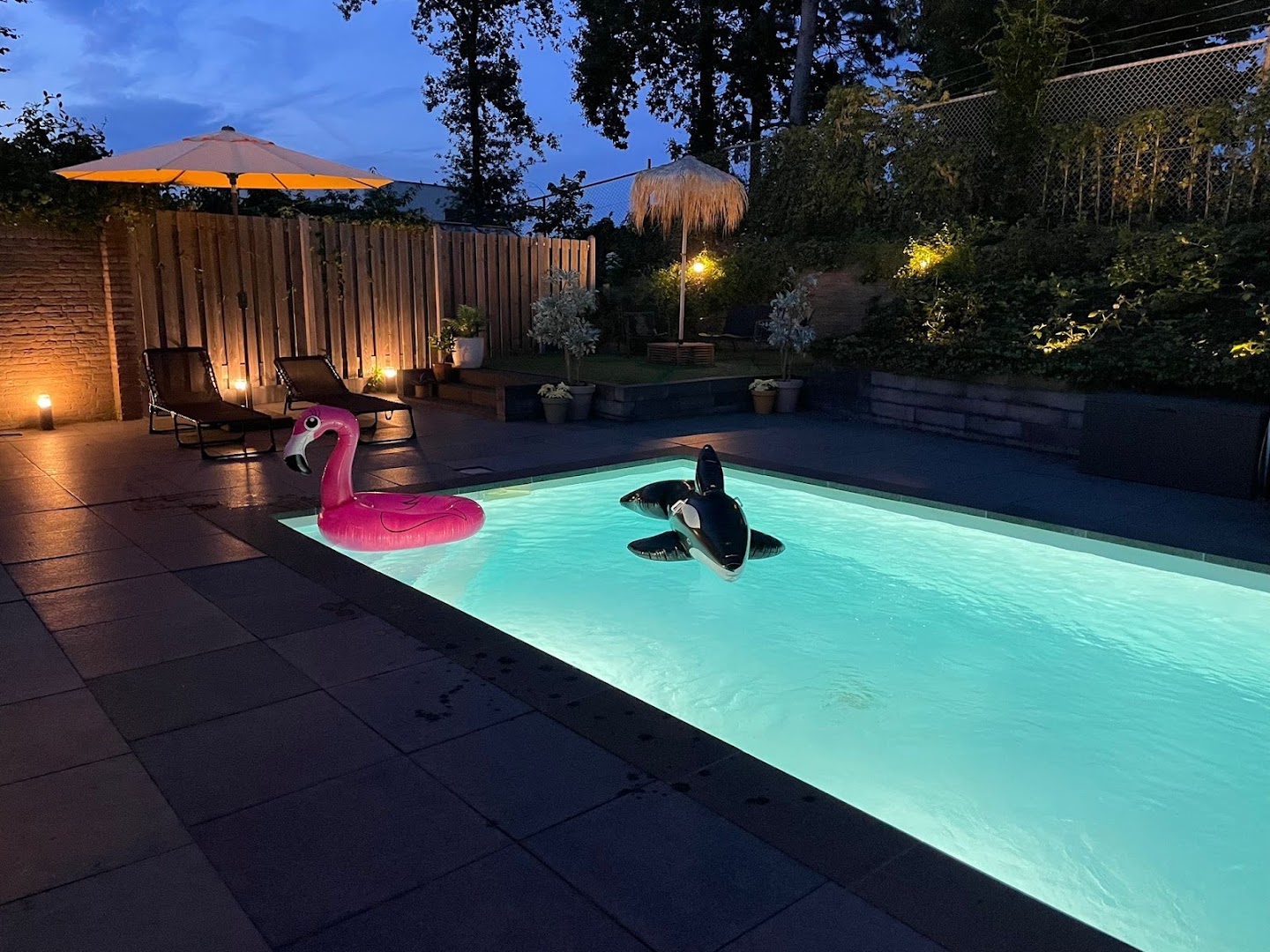 Foto van Zwembad & Luxe in Echt, Zwembadbouwer (foto 2)