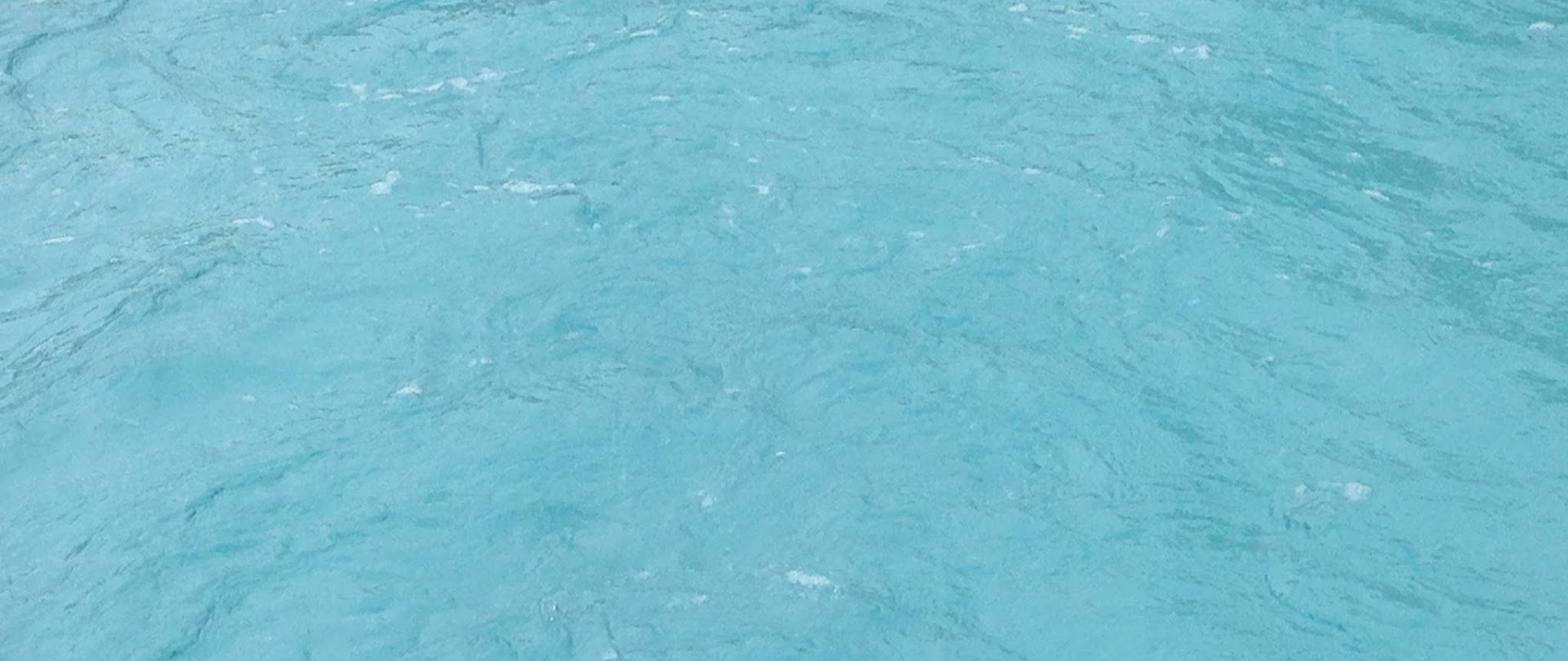 Foto van Côté Piscine in Ittre, Zwembadenwinkel (foto 1)