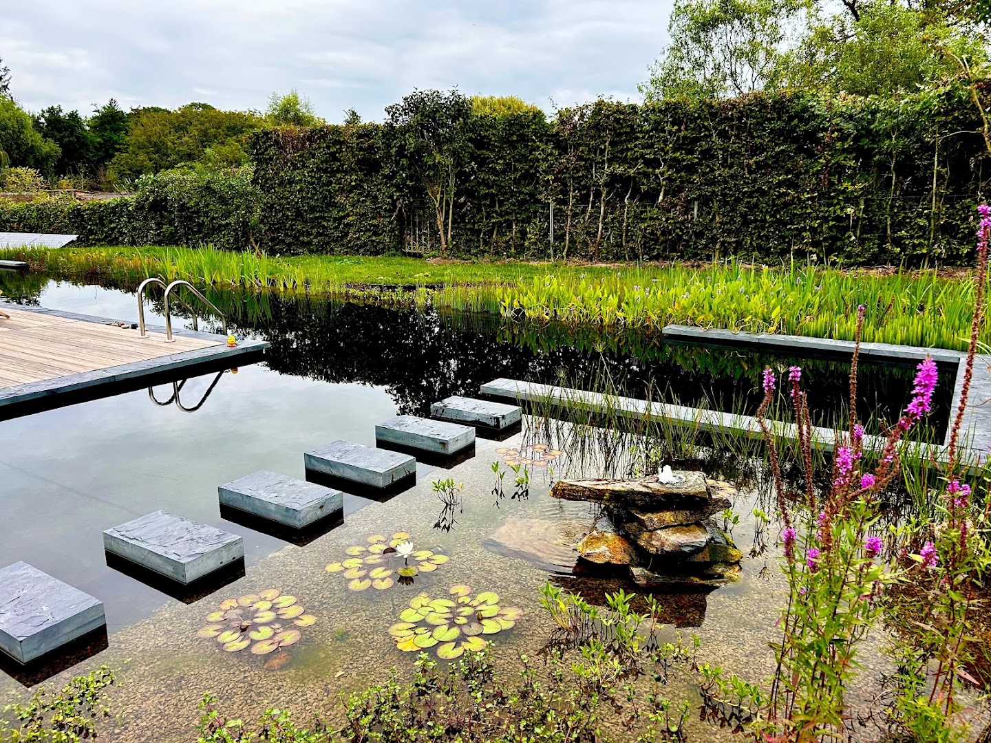 Foto van NaturEau in Floreffe, Aannemer voor zwembad (foto 1)