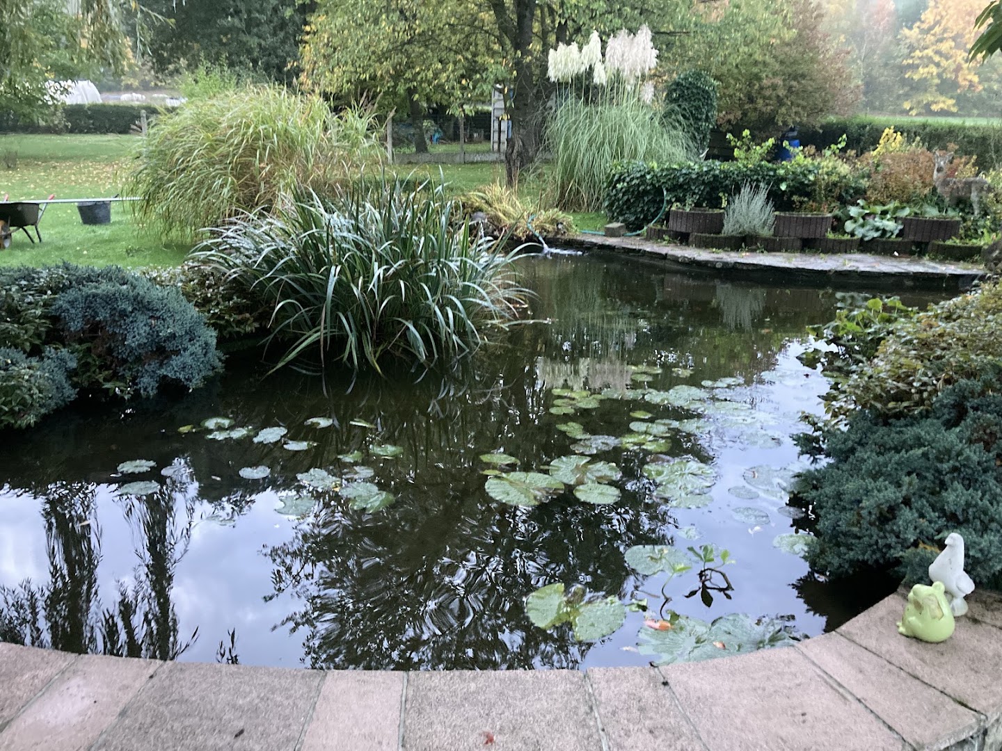 Foto van Végét'eaux - aménagements aquatiques - mares, étangs, baignades naturelles, bassins de jardins in Grez-Doiceau, Aannemer voor vijvers (foto 3)