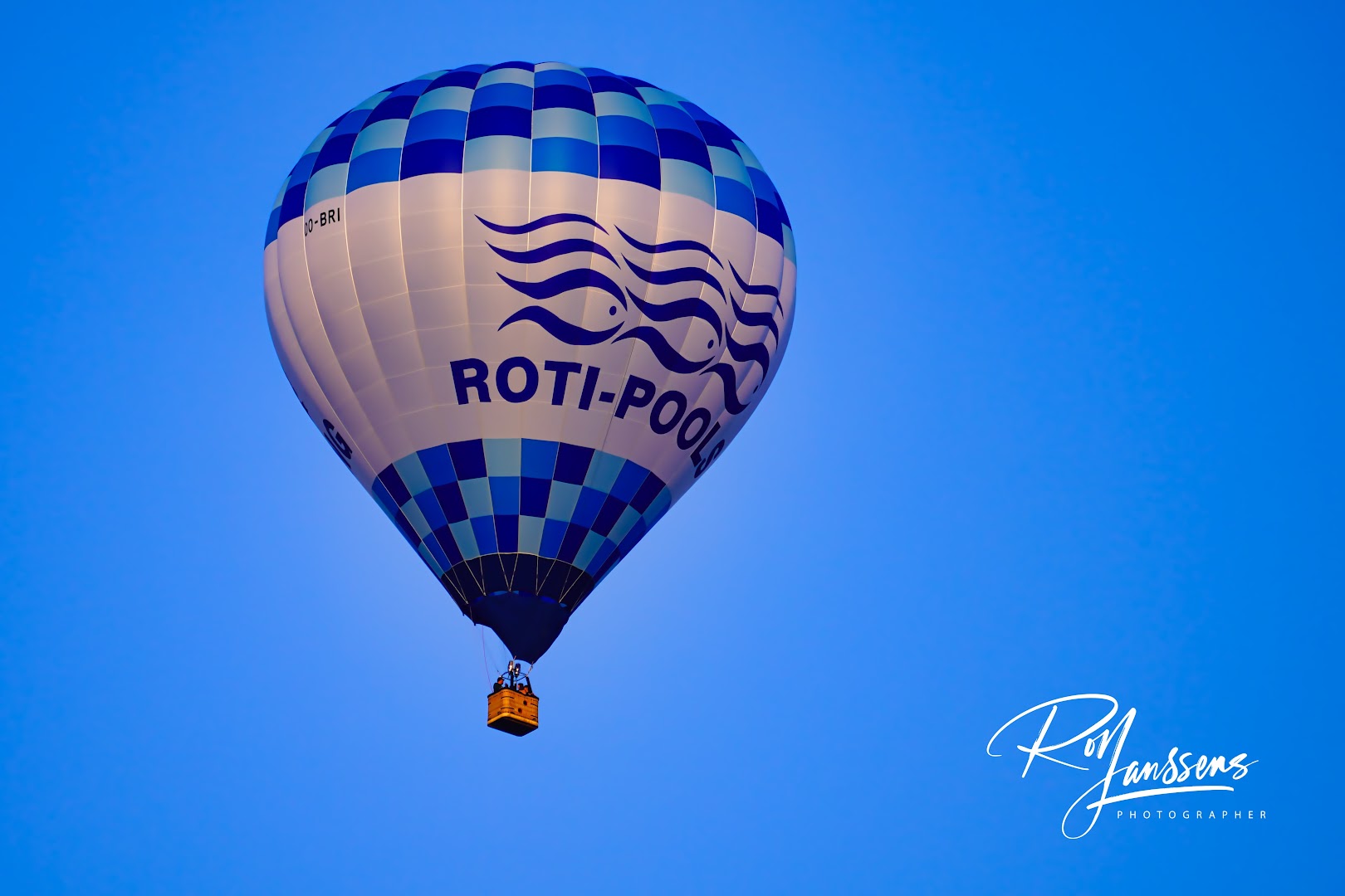 Foto van Roti-Pools Bv in Sint-Niklaas, Aannemer voor zwembad (foto 1)