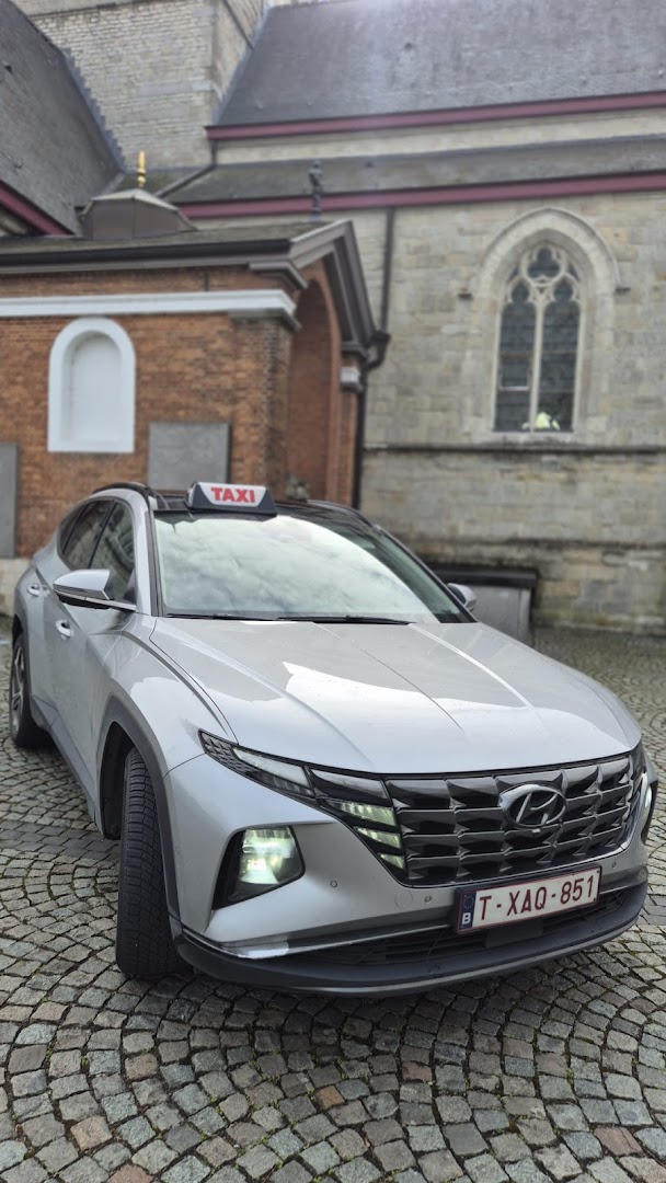 Foto van Taxi Lebbeke Dendermonde Buggenhout Opwijk -Luchthavenvervoer Lebbeke- in Lebbeke — Taxibedrijf (foto 2)