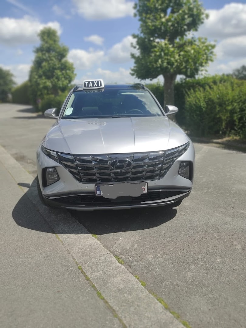 Foto van Taxi Lebbeke Dendermonde Buggenhout Opwijk -Luchthavenvervoer Lebbeke- in Lebbeke — Taxibedrijf (foto 3)
