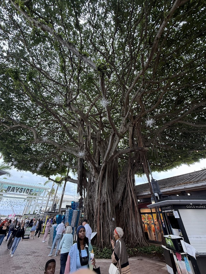 Foto van Metropolis in Miami — Parkeergarage