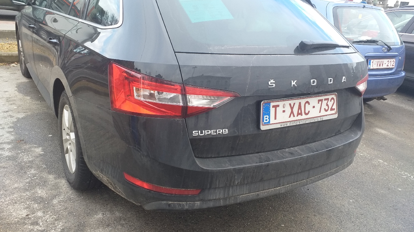 Foto van Driven Limousine Service in Denderleeuw — Pendeldienst naar luchthaven (foto 3)