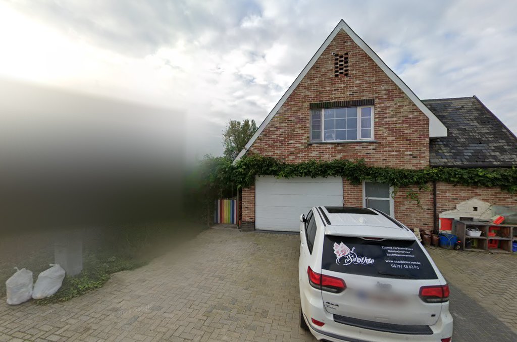 Foto van Santhië Vervoer in Gavere — Pendeldienst naar luchthaven (foto 1)