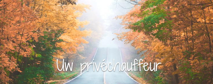 Foto van Uw privé chauffeur - Luchthavenvervoer in Wuustwezel — Taxibedrijf
