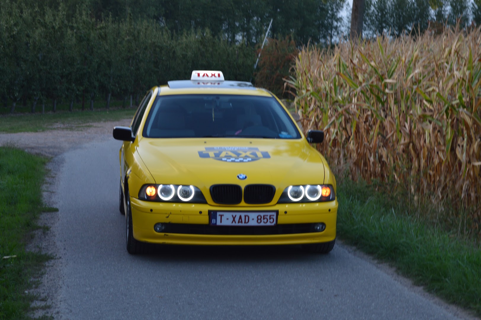 Foto van Sint-Truidense Gele Taxi in Sint-Truiden — Taxibedrijf (foto 3)