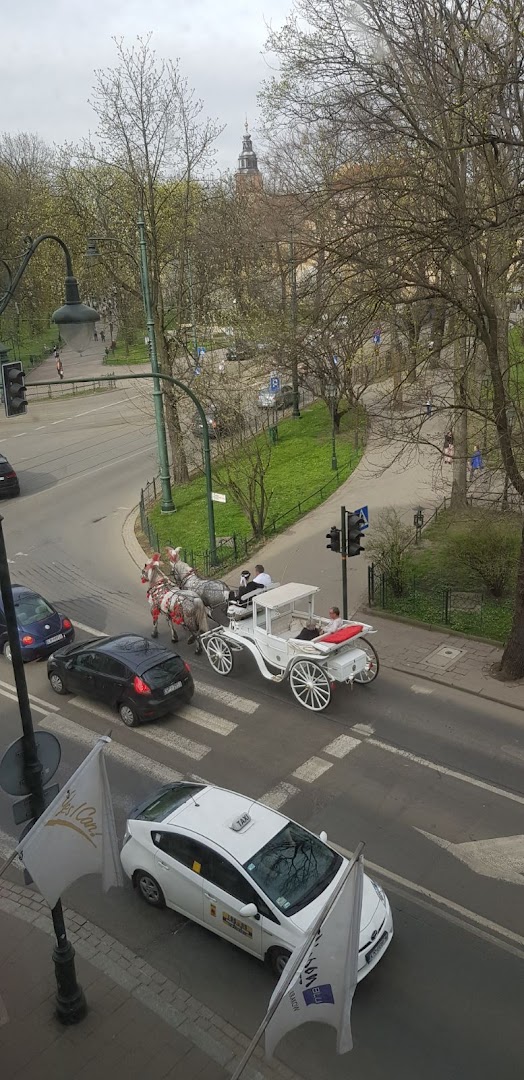 Foto van Taxi Ruisbroek — Vervoer (foto 2)