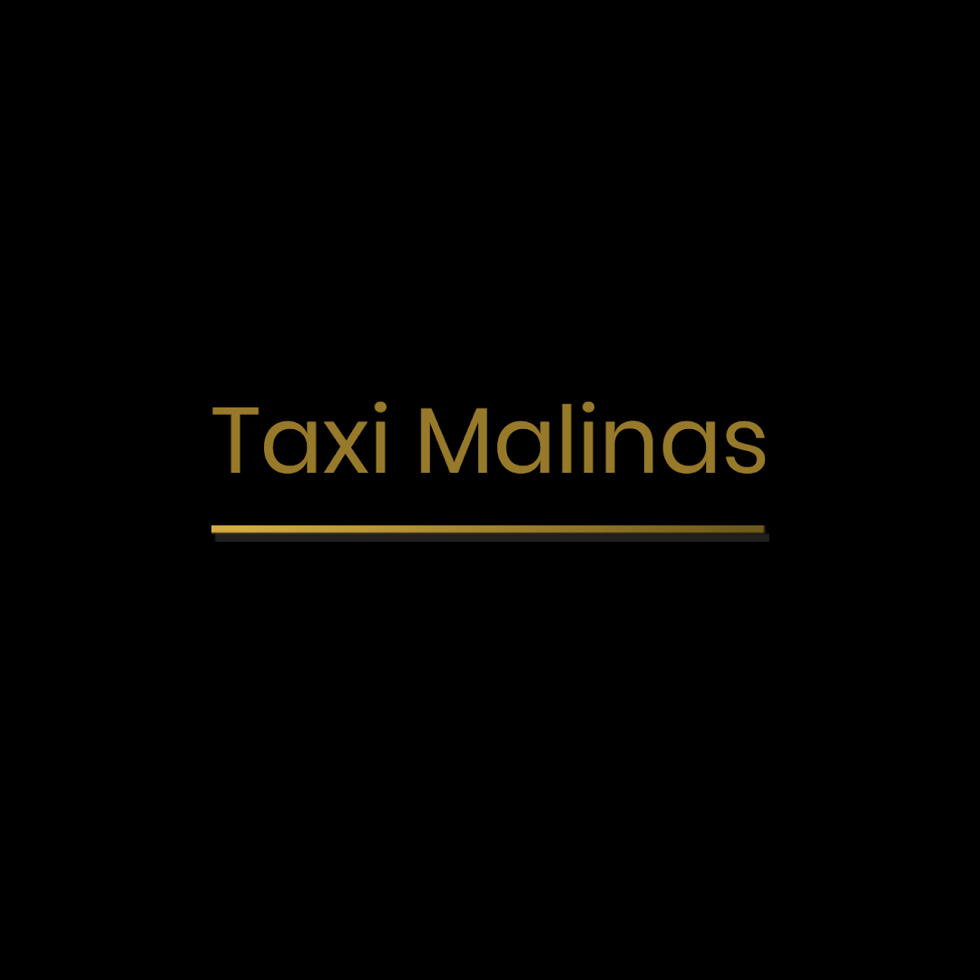 Foto van Taxi Malinas in Mechelen — Taxibedrijf (foto 2)