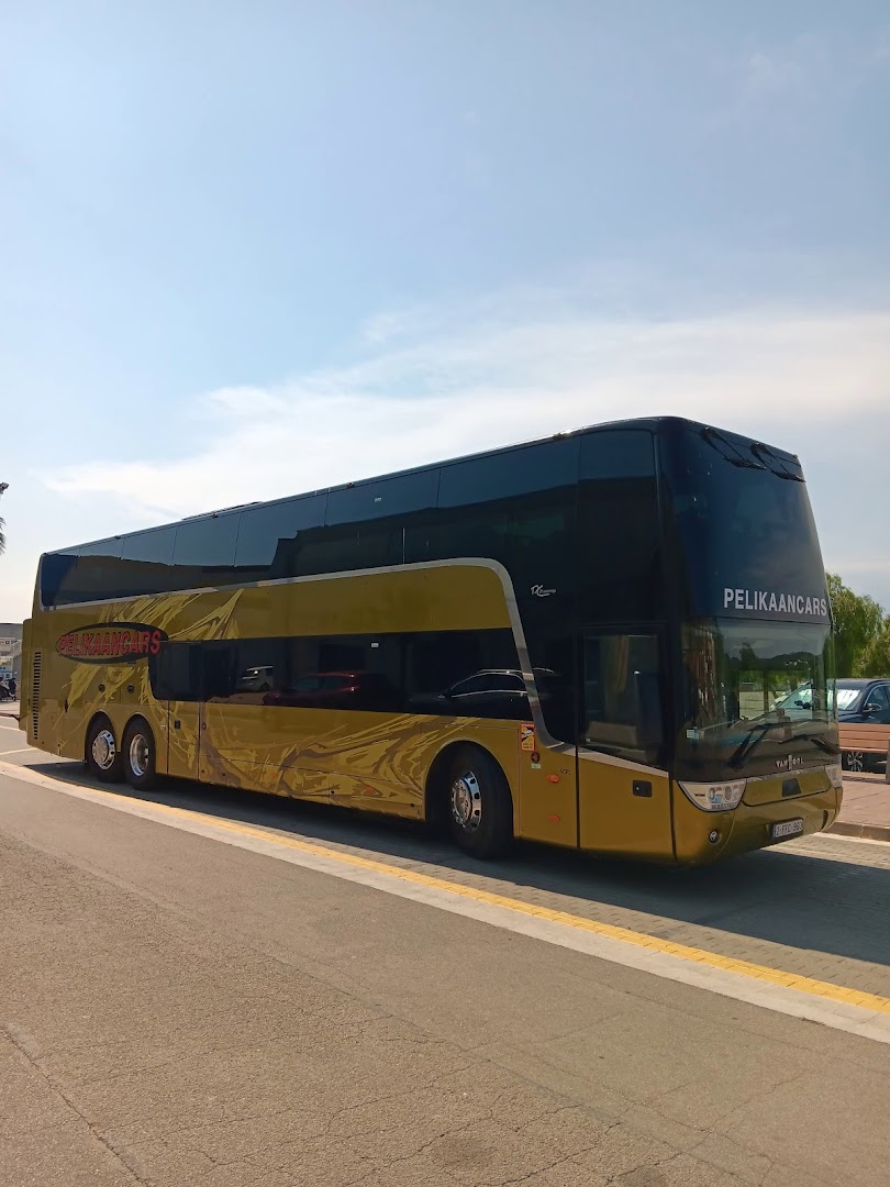 Foto van Pelikaancars nv in Tielt-Winge — Vervoer (foto 2)