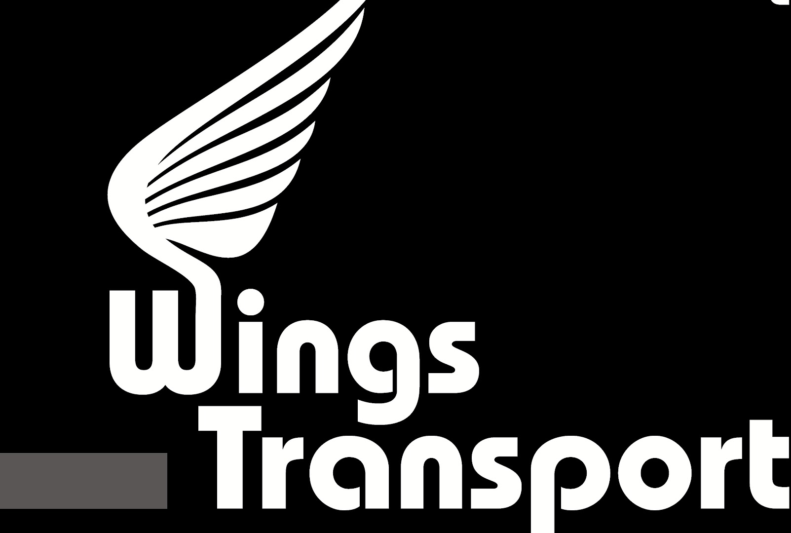 Foto van Wings Transport in Bornem — Taxibedrijf (foto 2)