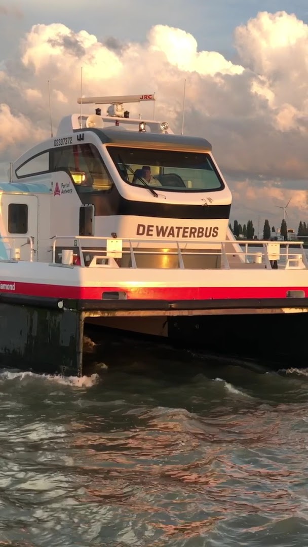 Foto van De Waterbus Zwijndrecht in Beveren-Kruibeke-Zwijndrecht — Veerdienst (foto 2)