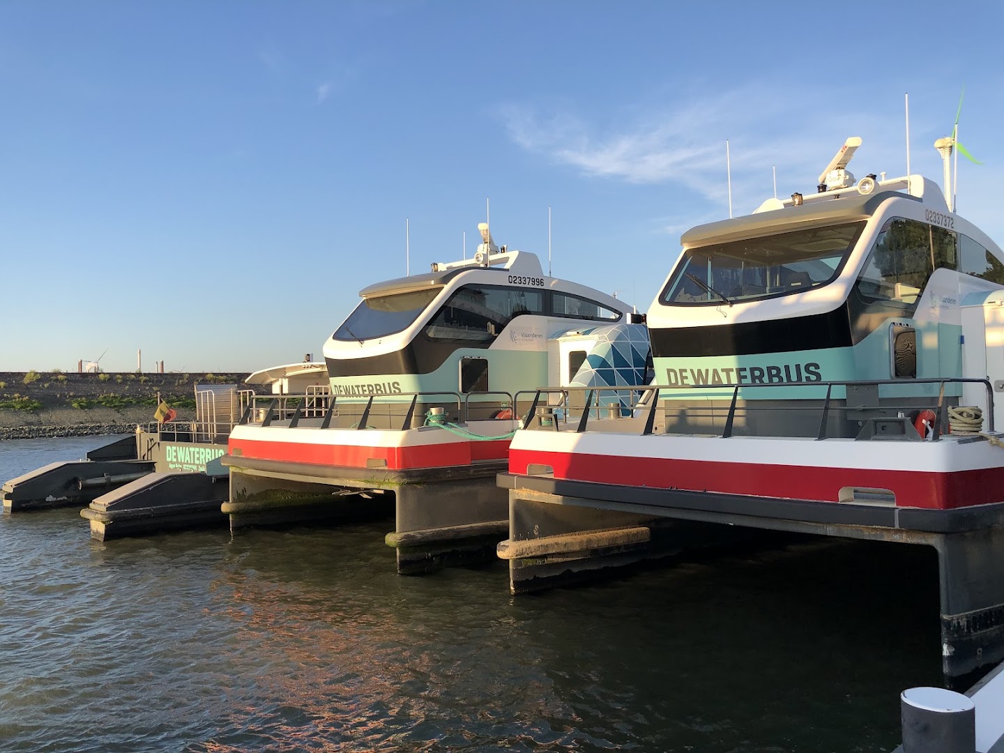 Foto van De Waterbus Zwijndrecht in Beveren-Kruibeke-Zwijndrecht — Veerdienst (foto 3)